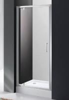 Душевая дверь Cezares MOLVENO-BA-1-100-C-Cr-IV