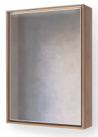 Зеркало-шкаф Raval Frame 60 Дуб трюфель с подсветкой, розеткой, Fra.03.60/DT